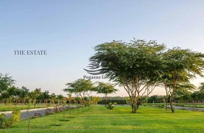 Villa - 6 Bedrooms - 7 Bathrooms for sale in Siniyah Island - Umm Al Quwain Marina - Umm Al Quwain