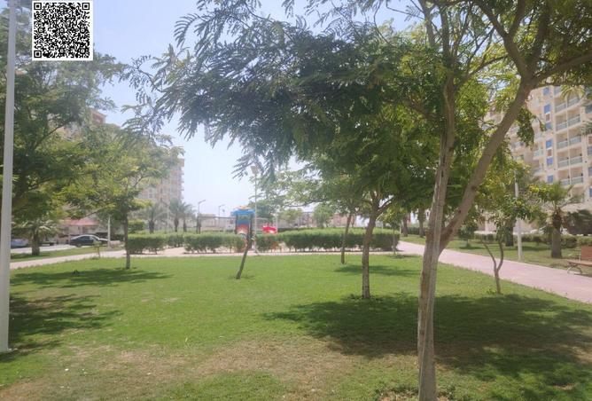 83241126 - صورة العقار 3