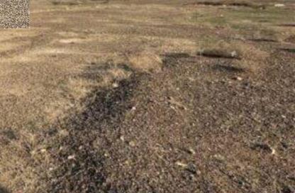 Land - Studio for sale in Al Rumailah building - Al Rumailah 2 - Al Rumaila - Ajman Land - Studio for sale in Al Rumailah building - Al Rumailah 2 - Al Rumaila - Ajman