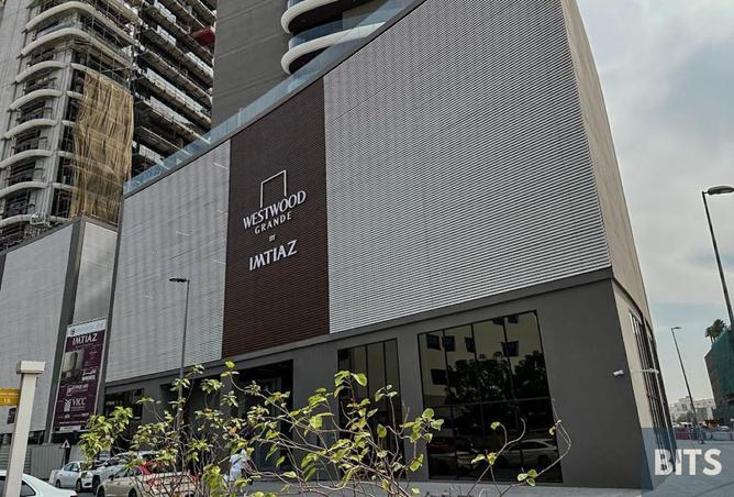 97811316 - الصورة الرئيسية للعقار