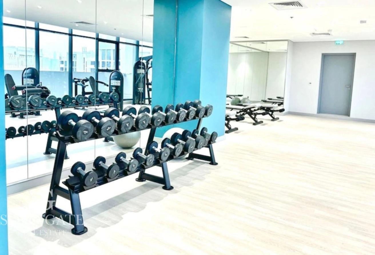 Large Studio | Fully Furnished | Azizi Riviera 4 photo 18
