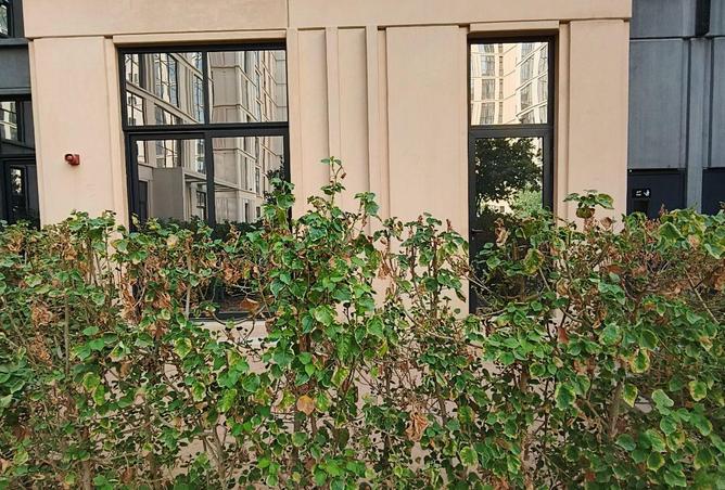 139719969 - Property Image 3