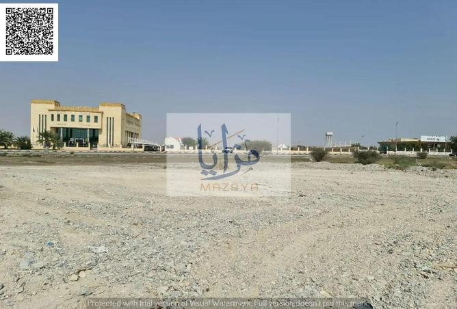 16334067 - Property Image 3