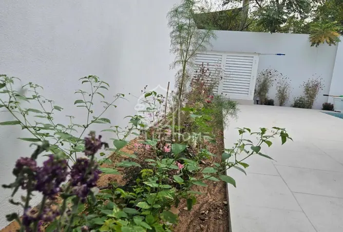 156104117 - صورة العقار 2