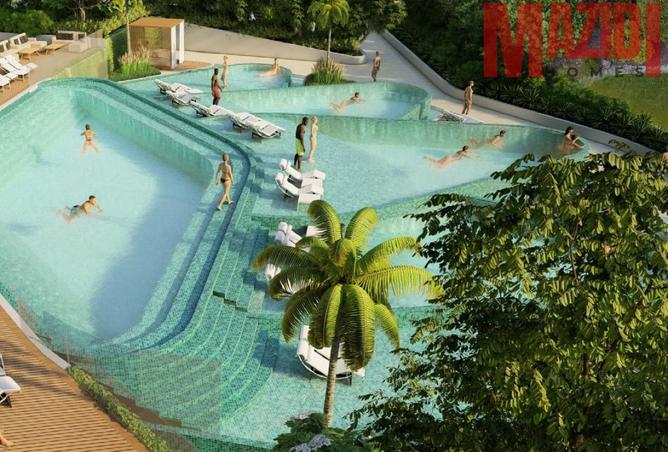 16049717 - Property Image 3