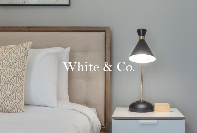 61678790 - Property Image 3