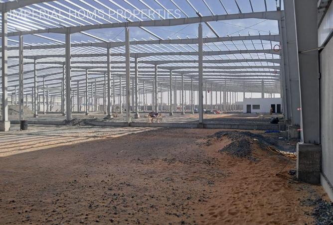 74233981 - صورة العقار 3