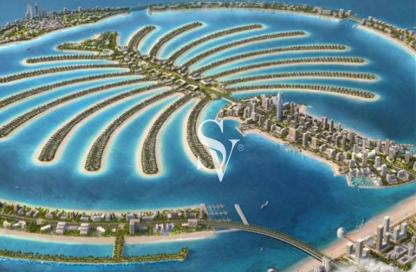 Villa - 6 - 7+ for sale in Signature Villas Frond N - Signature Villas - Palm Jebel Ali - Dubai