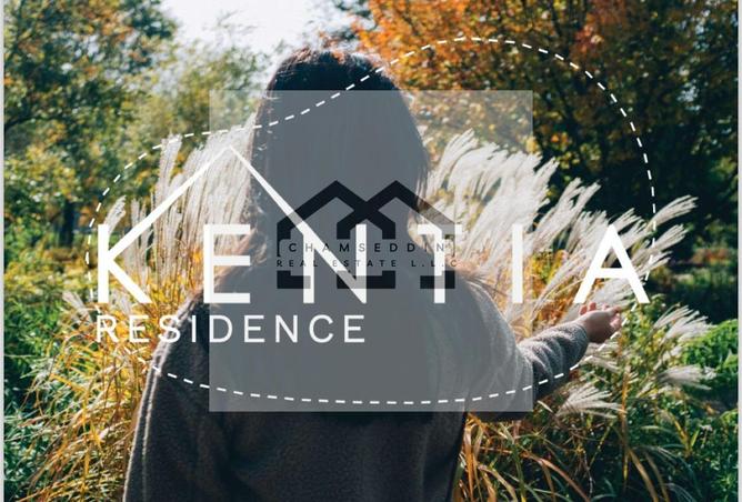 58586046 - Property Image 2