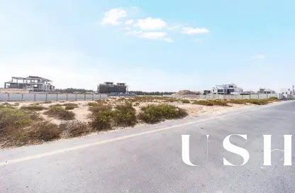 أرض - استوديو للبيع في ند الشبا جاردنز 1 - حدائق ند الشبا - ند الشبا 1 - ند الشبا - دبي أرض - استوديو للبيع في ند الشبا جاردنز 1 - حدائق ند الشبا - ند الشبا 1 - ند الشبا - دبي