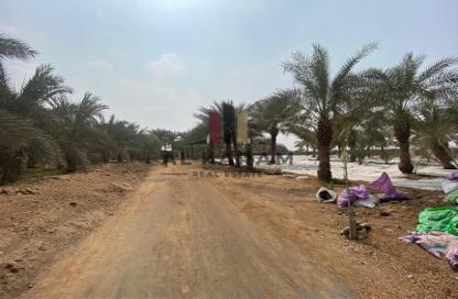Farm - Studio - 2 for sale in Al Salihia - Ras Al Khaimah