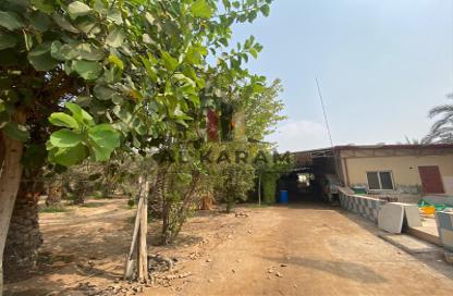 Farm - Studio - 2 for sale in Al Salihia - Ras Al Khaimah
