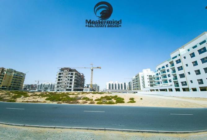 16214921 - Property Image 3