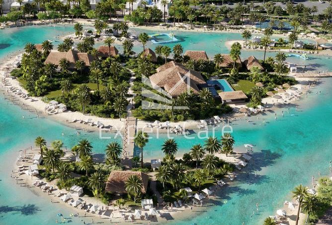 58588435 - Property Image 2