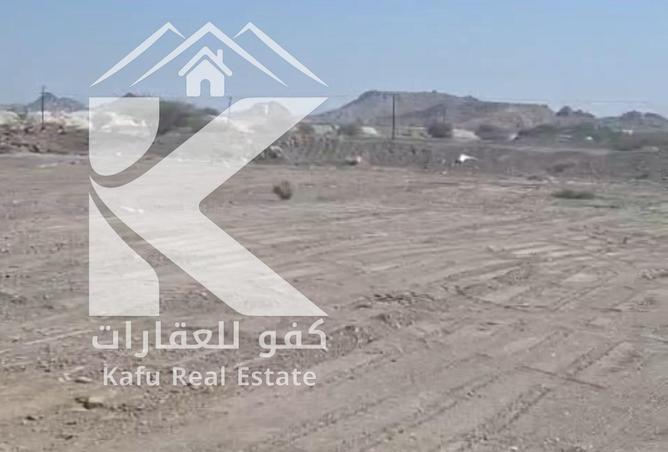 87031872 - صورة العقار 3