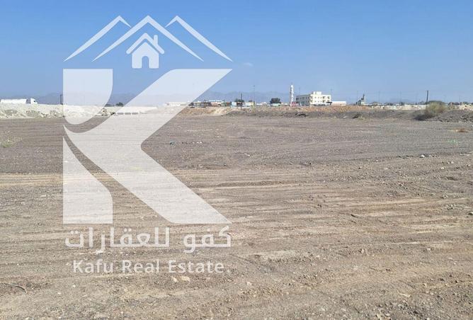 87031872 - صورة العقار 2