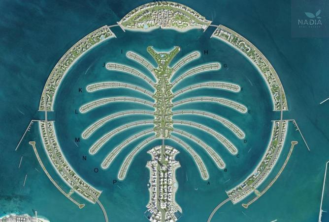 63642682 - صورة العقار 2