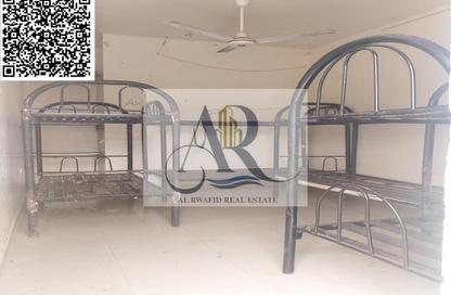 Labor Camp - Studio - 7+ Bathrooms for rent in Al Jurf 3 - Al Jurf - Ajman Downtown - Ajman