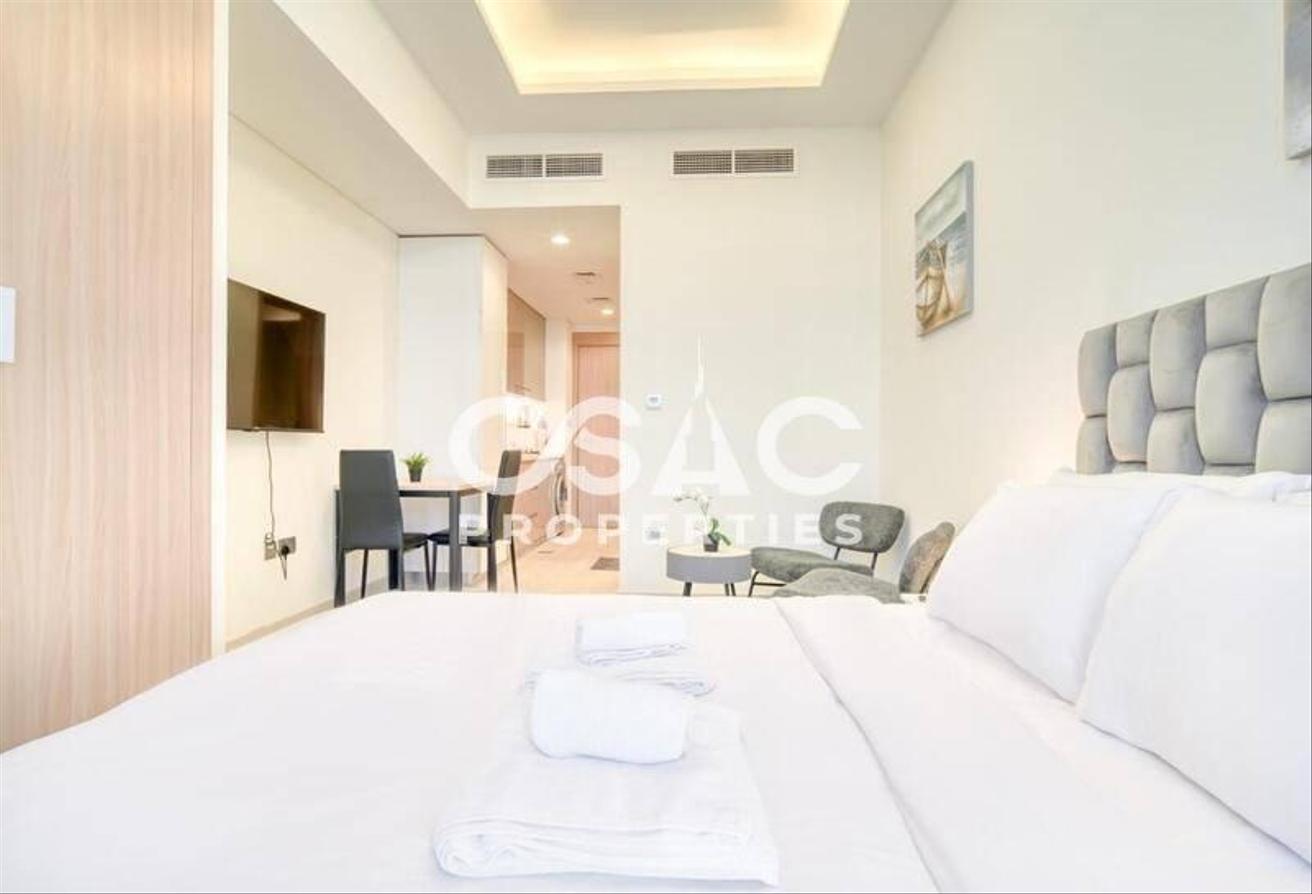 Spacious Studio | Upgraded | Fully Furnished photo 5