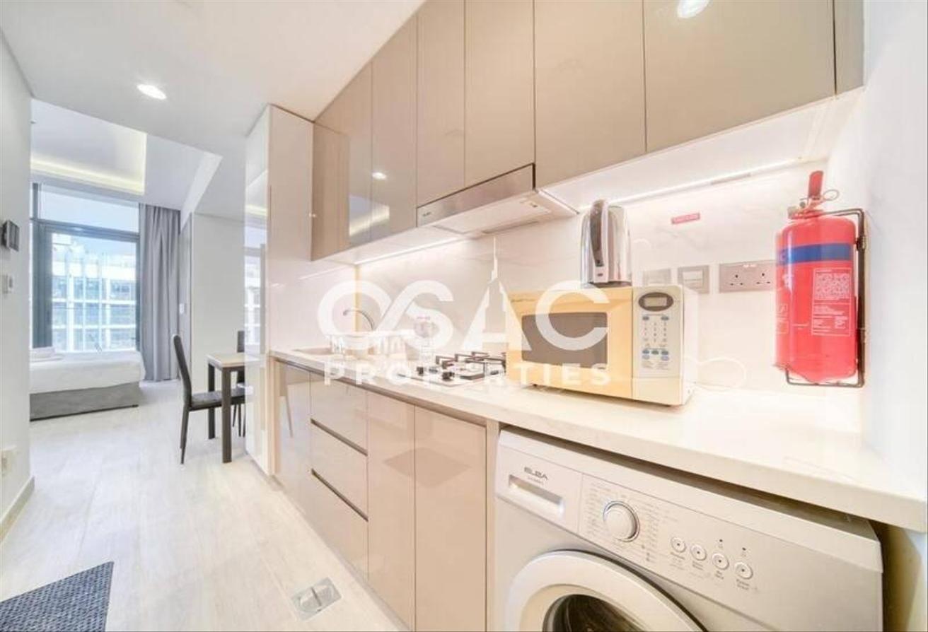 Spacious Studio | Upgraded | Fully Furnished photo 10