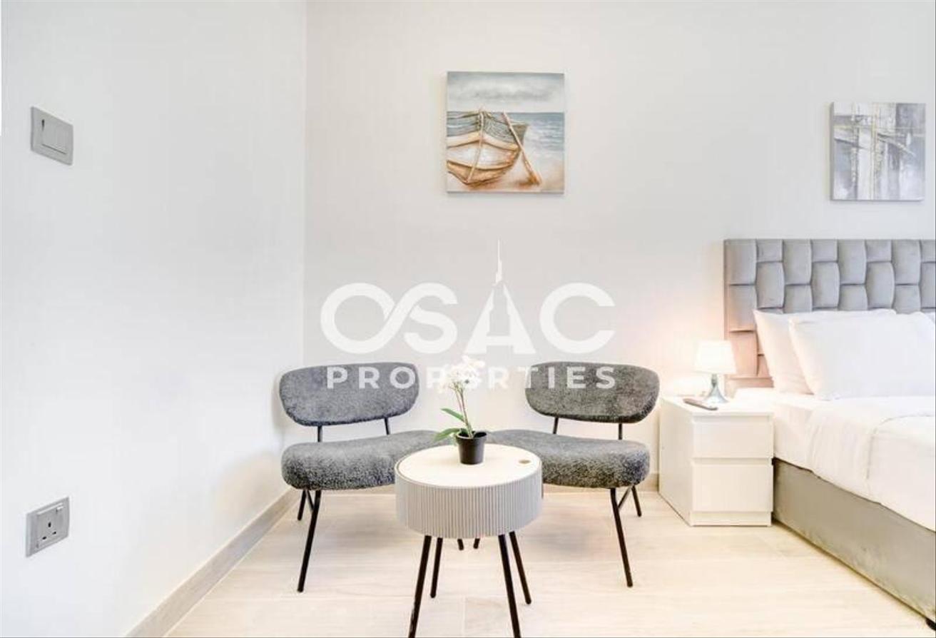 Spacious Studio | Upgraded | Fully Furnished photo 8