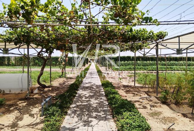 73842952 - Property Image 2