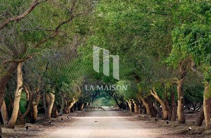Land - Studio for sale in Al Jurf Gardens Phase 1.2 - Al Jurf Gardens - AlJurf - Ghantoot - Abu Dhabi Land - Studio for sale in Al Jurf Gardens Phase 1.2 - Al Jurf Gardens - AlJurf - Ghantoot - Abu Dhabi