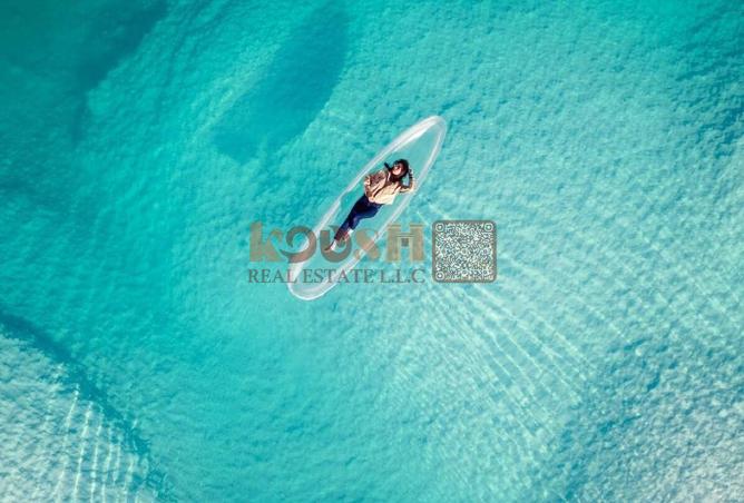 56536572 - Property Image 2