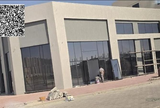 16303788 - Property Image 3