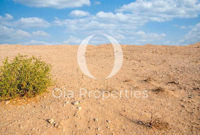 16113730 - صورة العقار 3