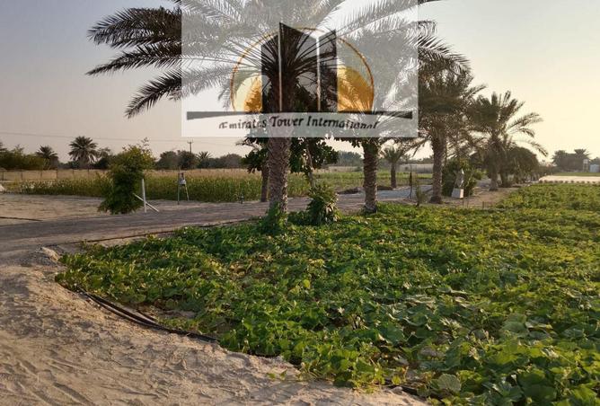 72721372 - صورة العقار 3