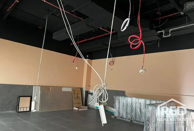 148625181 - Property Image 2
