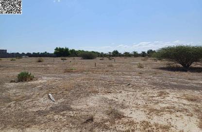 Land - Studio for sale in Manama - Ajman