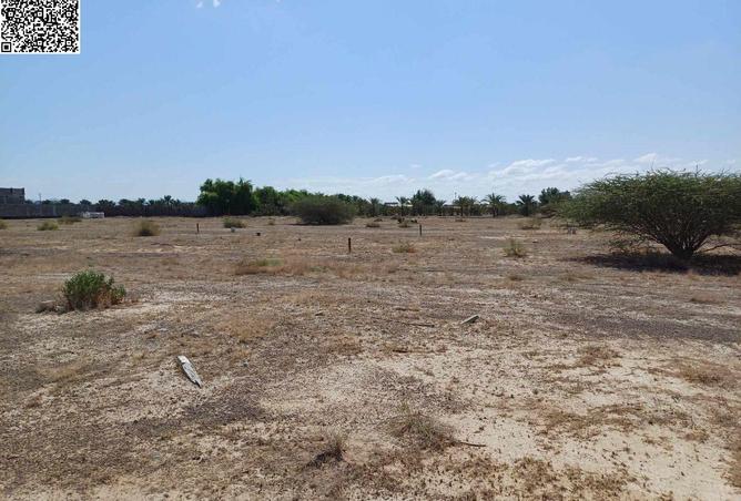 16225164 - Property Image 3