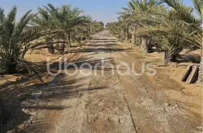 Farm - Studio for sale in Al Hayer - Al Ain