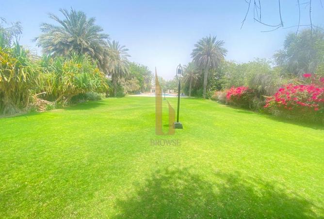 16281835 - Property Image 3