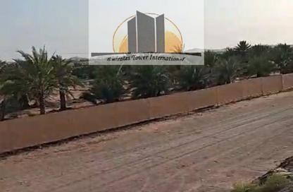 Farm - Studio for sale in Al Ain Tower - Khalidiya Street - Al Khalidiya - Abu Dhabi
