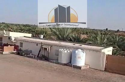 مزرعة - استوديو للبيع في برج العين - شارع الخالدية - الخالدية - أبوظبي مزرعة - استوديو للبيع في برج العين - شارع الخالدية - الخالدية - أبوظبي
