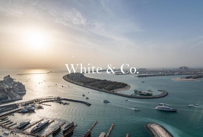 16072593 - صورة العقار 2