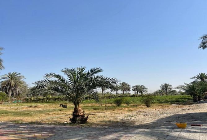 116355636 - صورة العقار 3