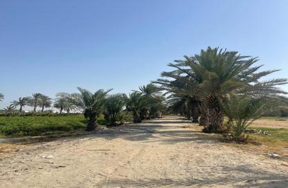Farm - Studio for sale in Al Bahya - Abu Dhabi