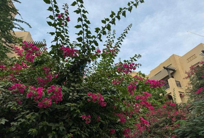 16105644 - صورة العقار 3