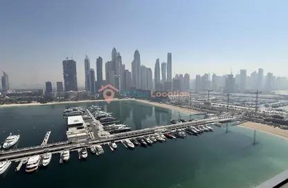 شقة - 4 غرف نوم - 5 حمامات للبيع في برج بيتش مانشن 1 - قصر الشاطئ - إعمار بيتشفرونت - دبي هاربور - دبي