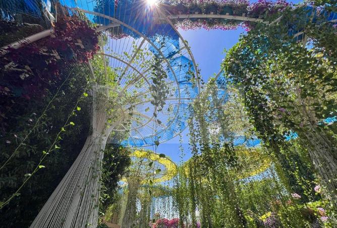 16231094 - صورة العقار 2