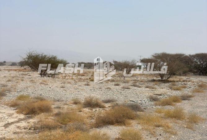 139660946 - Property Main Image