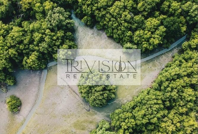 16206776 - صورة العقار 3