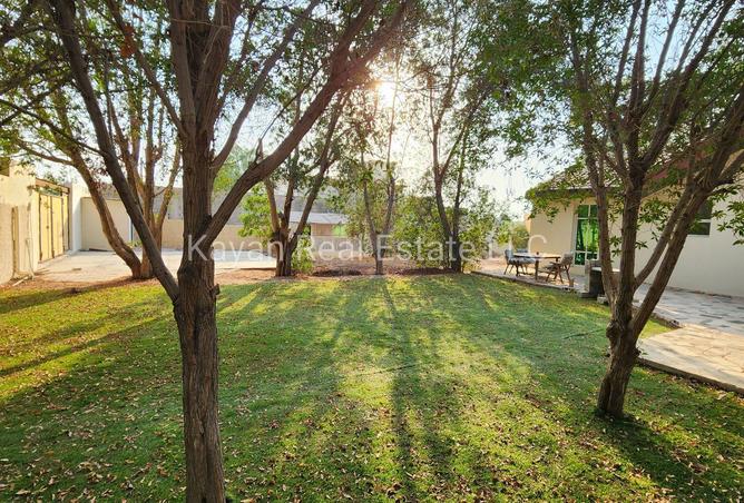 117254402 - Property Image 3