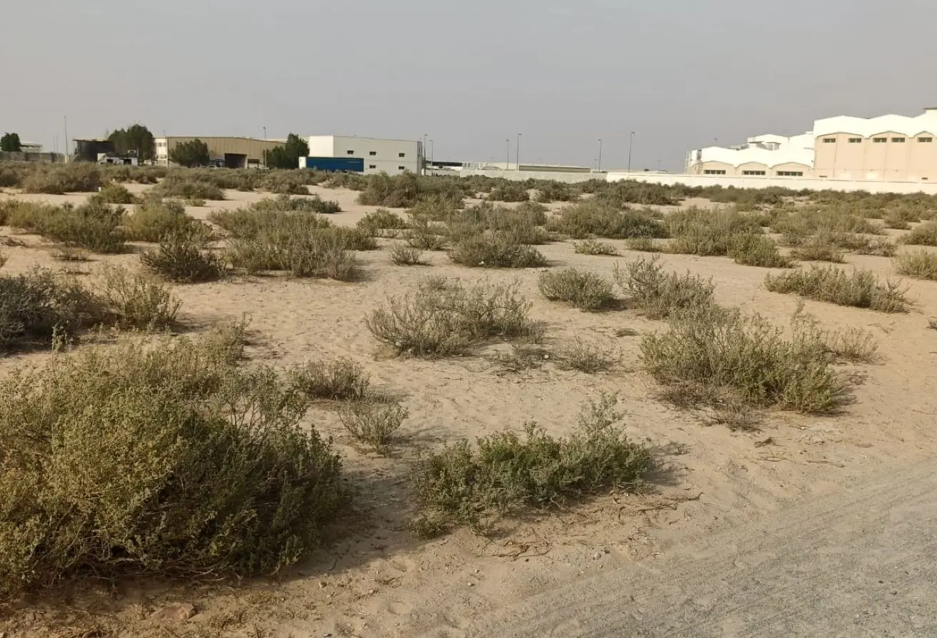 153323454 - Property Main Image