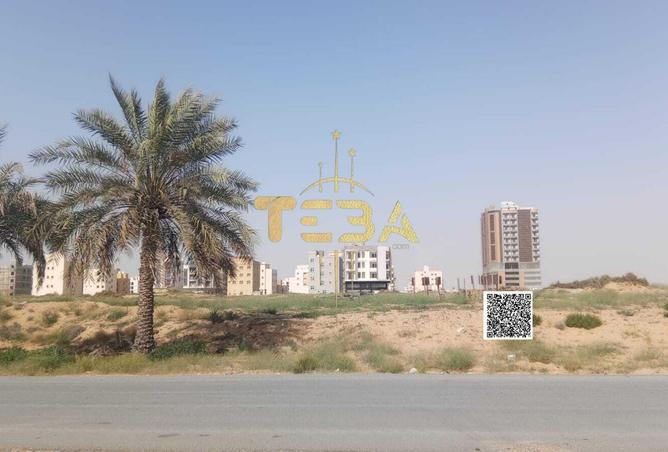 54396579 - Property Image 3