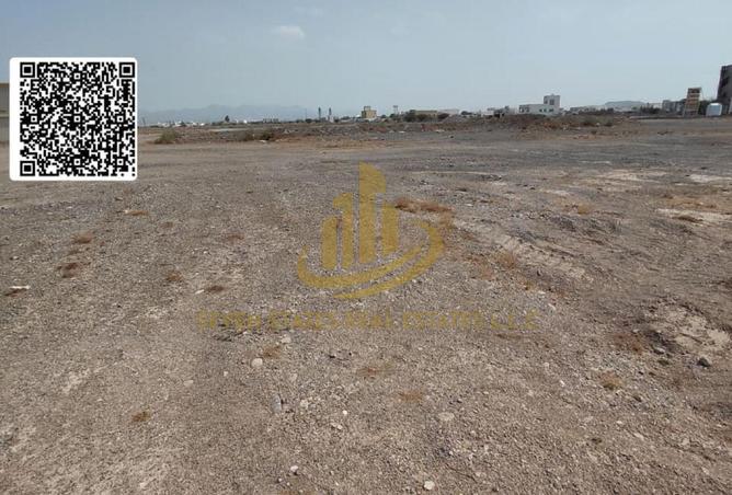 160095960 - Property Image 3